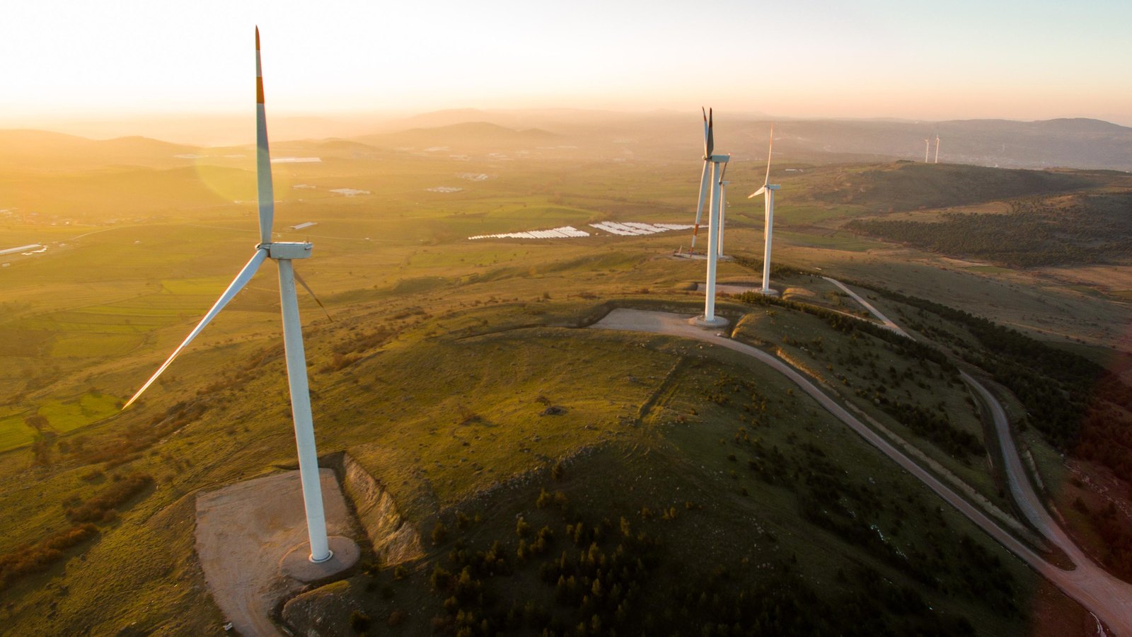 Aerial view of wind turbines on green hilltops linked by a winding road, lit by a low sun