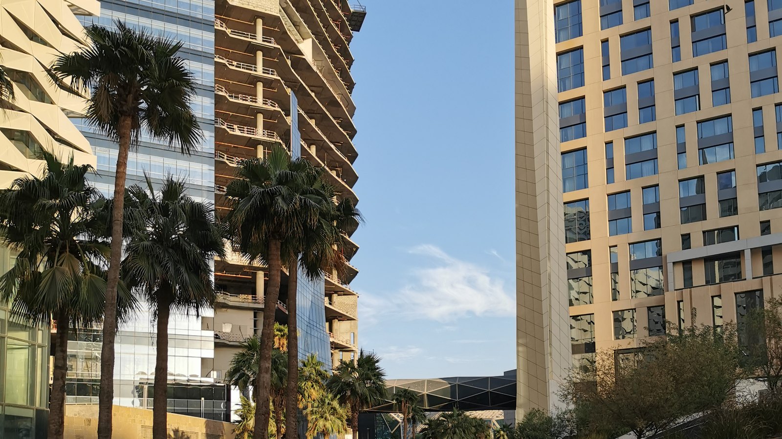 Palm-lined stone plaza between glass and stone office towers under a blue sky